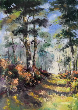 Roger FAGES - environs de MASSERET (19)